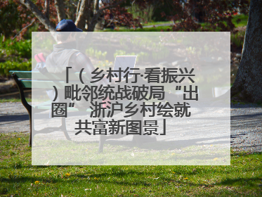 （乡村行·看振兴）毗邻统战破局“出圈” 浙沪乡村绘就共富新图景