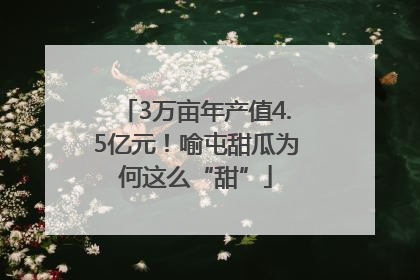 3万亩年产值4.5亿元！喻屯甜瓜为何这么“甜”