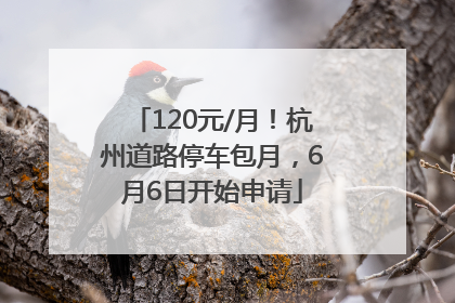 120元/月！杭州道路停车包月，6月6日开始申请