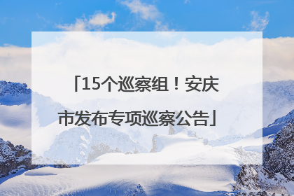 15个巡察组！安庆市发布专项巡察公告