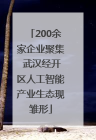 200余家企业聚集 武汉经开区人工智能产业生态现雏形