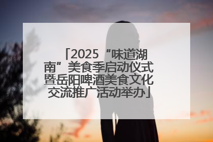 2025“味道湖南”美食季启动仪式暨岳阳啤酒美食文化交流推广活动举办