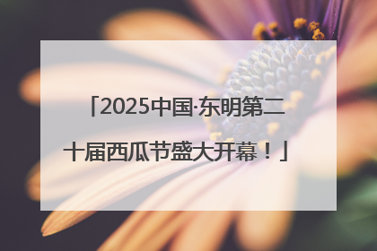 2025中国·东明第二十届西瓜节盛大开幕！