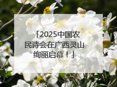 2025中国农民诗会在广西灵山绚丽启幕！