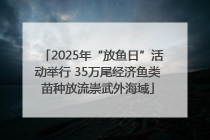2025年“放鱼日”活动举行 35万尾经济鱼类苗种放流崇武外海域