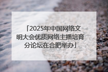 2025年中国网络文明大会优质网络主播培育分论坛在合肥举办