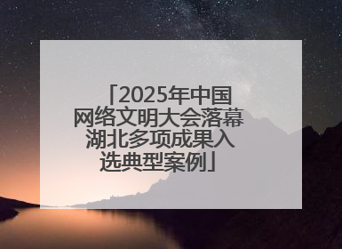 2025年中国网络文明大会落幕 湖北多项成果入选典型案例
