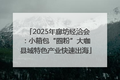 2025年廊坊经洽会：小箱包“圈粉”大咖 县域特色产业快速出海