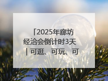 2025年廊坊经洽会倒计时3天｜可逛、可玩、可购，快来6街16巷逛市集