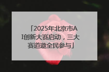 2025年北京市AI创新大赛启动，三大赛道邀全民参与