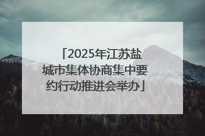2025年江苏盐城市集体协商集中要约行动推进会举办