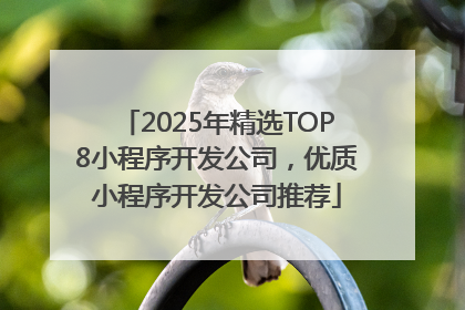 2025年精选TOP8小程序开发公司，优质小程序开发公司推荐