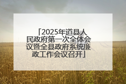 2025年道县人民政府第一次全体会议暨全县政府系统廉政工作会议召开