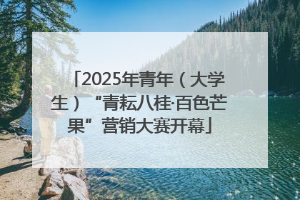 2025年青年（大学生）“青耘八桂·百色芒果”营销大赛开幕