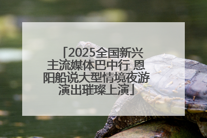 2025全国新兴主流媒体巴中行 恩阳船说大型情境夜游演出璀璨上演
