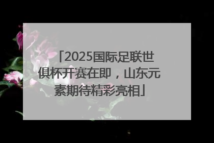 2025国际足联世俱杯开赛在即，山东元素期待精彩亮相