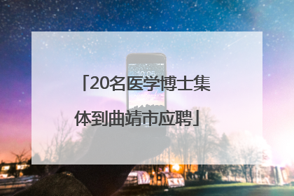 20名医学博士集体到曲靖市应聘