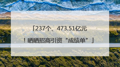 237个、473.51亿元！晒晒招商引资“成绩单”