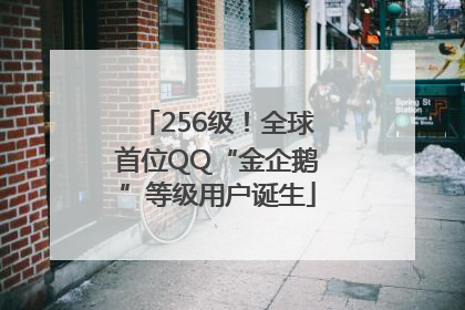 256级！全球首位QQ“金企鹅”等级用户诞生