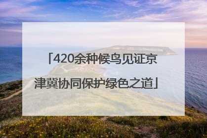 420余种候鸟见证京津冀协同保护绿色之道