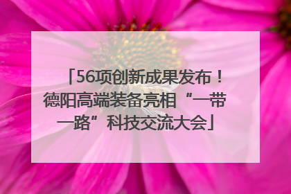 56项创新成果发布！德阳高端装备亮相“一带一路”科技交流大会