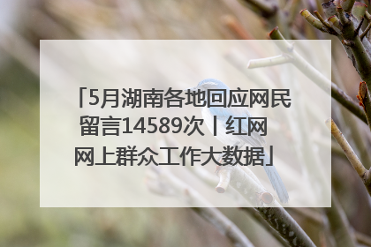 5月湖南各地回应网民留言14589次丨红网网上群众工作大数据