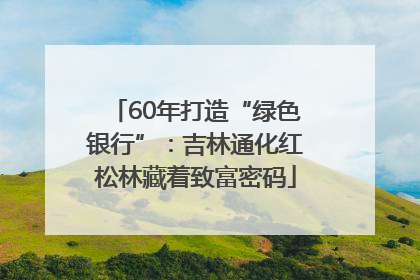 60年打造“绿色银行”：吉林通化红松林藏着致富密码