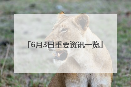 6月3日重要资讯一览