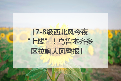 7-8级西北风今夜“上线”！乌鲁木齐多区拉响大风警报