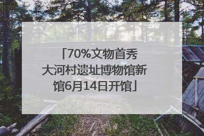70%文物首秀 大河村遗址博物馆新馆6月14日开馆