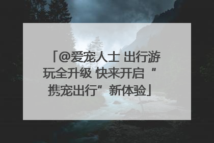 @爱宠人士 出行游玩全升级 快来开启“携宠出行”新体验
