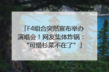 F4组合突然宣布举办演唱会！网友集体炸锅：“可惜杉菜不在了”