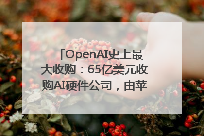 OpenAI史上最大收购：65亿美元收购AI硬件公司，由苹果前设计总监创办