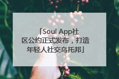 Soul App社区公约正式发布，打造年轻人社交乌托邦